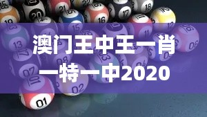 澳門王中王一肖一特一中2020,綜合分析解釋定義_網(wǎng)頁版9.817