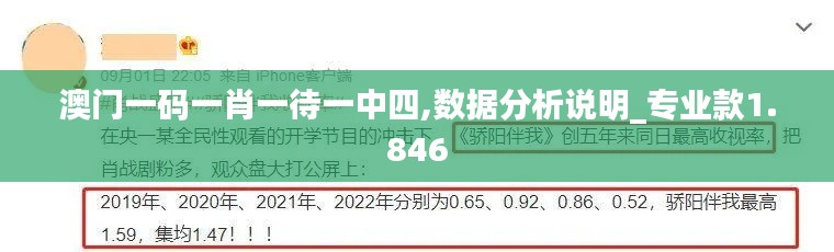 澳門(mén)一碼一肖一待一中四,數(shù)據(jù)分析說(shuō)明_專(zhuān)業(yè)款1.846