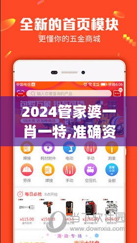 2024管家婆一肖一特,準(zhǔn)確資料解釋定義_zShop7.571