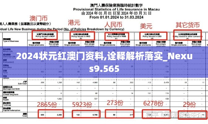 2024狀元紅澳門資料,詮釋解析落實_Nexus9.565