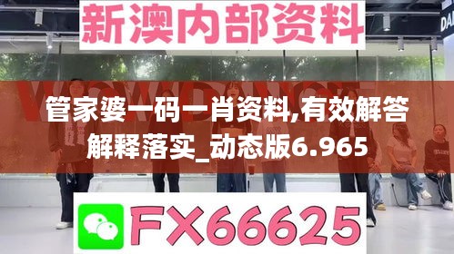 管家婆一碼一肖資料,有效解答解釋落實_動態(tài)版6.965