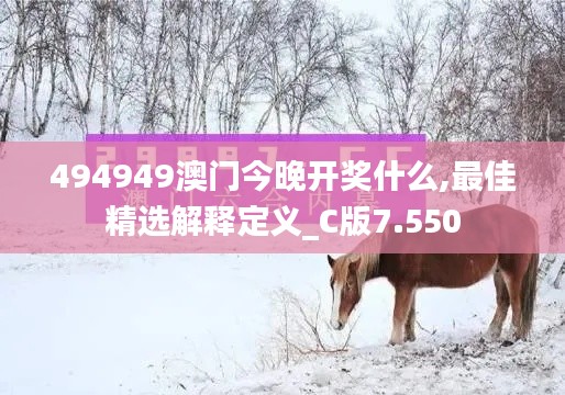 494949澳門今晚開獎什么,最佳精選解釋定義_C版7.550