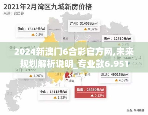 2024新澳門6合彩官方網(wǎng),未來規(guī)劃解析說明_專業(yè)款6.951