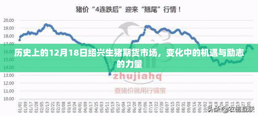 紹興生豬期貨市場，歷史機遇下的勵志力量與變革之路