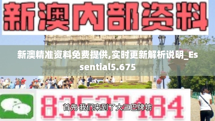 新澳精準(zhǔn)資料免費(fèi)提供,實(shí)時(shí)更新解析說(shuō)明_Essential5.675