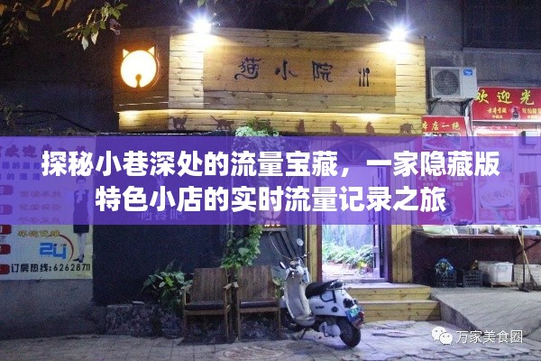 探秘小巷深處的流量寶藏，特色小店的實(shí)時(shí)流量記錄之旅揭秘