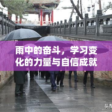 雨中奮斗，學(xué)習(xí)變化的力量與自信成就之路