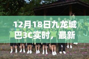 九龍城巴3C最新動態(tài)及出行指南，12月18日實時更新