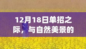 12月18日單招之旅，與自然美景的不期而遇，內(nèi)心平靜的奇妙尋找