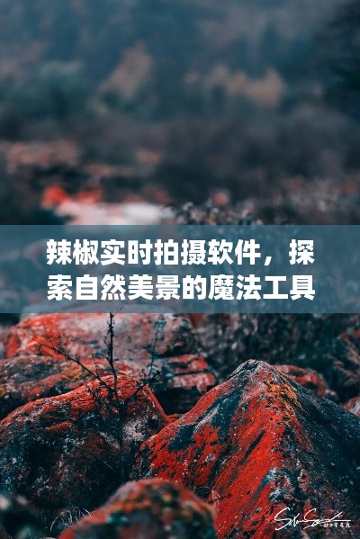 辣椒實(shí)時(shí)拍攝軟件，探索自然美景的魔法工具，心靈之旅的奇妙啟程