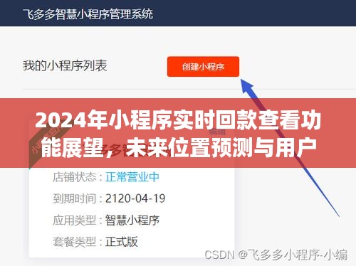 2024年小程序?qū)崟r(shí)回款查看功能展望，未來(lái)位置預(yù)測(cè)與用戶體驗(yàn)深度探討