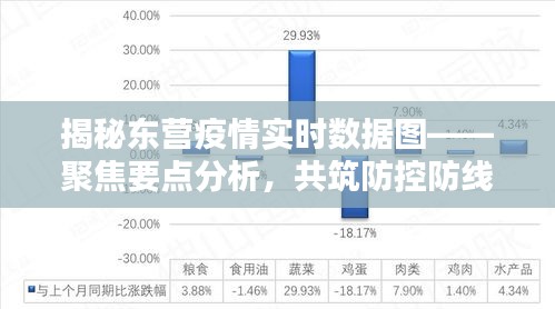 東營(yíng)疫情實(shí)時(shí)數(shù)據(jù)圖深度解析，聚焦防控要點(diǎn)，共筑防線