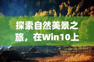 Win10自然探索之旅，網(wǎng)速與心靈寧?kù)o的奇妙交融