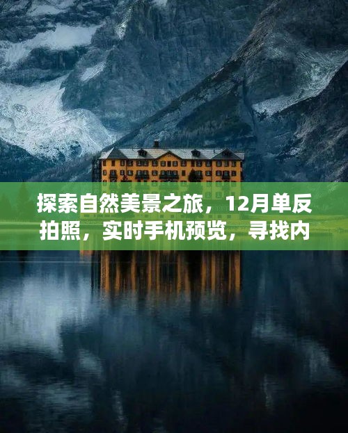 探索自然美景之旅，12月單反拍照與手機實時預(yù)覽，尋找內(nèi)心的寧靜與平和