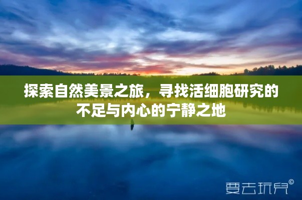 自然探索之旅，尋找生命科學的缺口與內心寧靜的棲息地