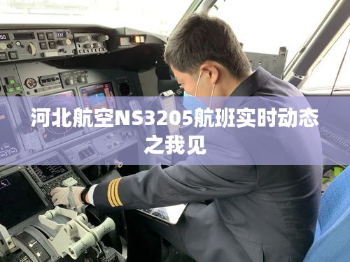 河北航空NS3205航班實(shí)時(shí)動(dòng)態(tài)觀察心得