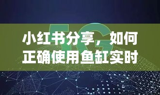 小紅書分享，如何正確使用魚缸實時溫度計（附詳細指南，日期，2024年12月18日）