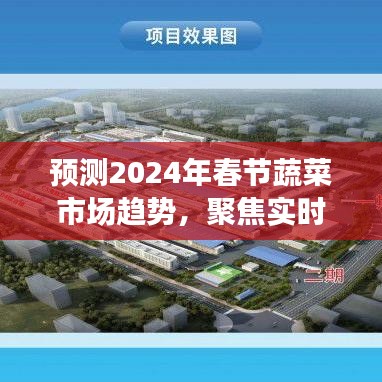 2024年春節(jié)蔬菜市場趨勢預測，實時供應聚焦分析