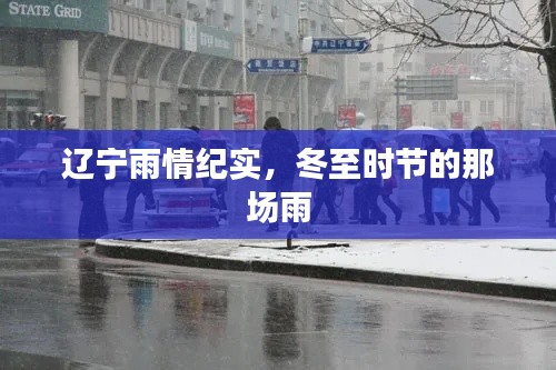 遼寧冬至?xí)r節(jié)雨情實錄