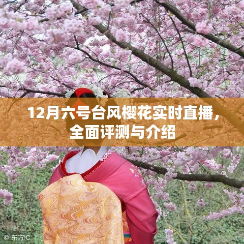 臺風(fēng)櫻花來襲，全面評測與實(shí)時直播報道