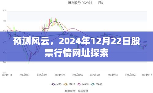 探索預(yù)測(cè)風(fēng)云，2024年12月22日股票行情網(wǎng)址解析