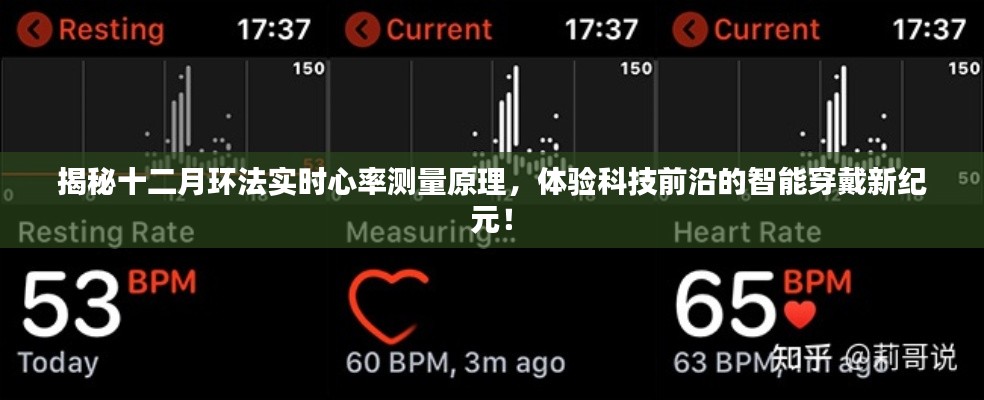 揭秘環(huán)法自行車賽實時心率測量技術(shù)，智能穿戴引領(lǐng)科技新紀(jì)元！