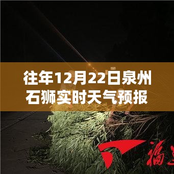 泉州石獅天氣預(yù)報(bào)查詢指南，實(shí)時(shí)天氣預(yù)報(bào)查詢步驟詳解（適合初學(xué)者與進(jìn)階用戶）