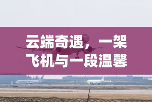 云端奇遇，飛機載夢，溫馨尋跡之旅