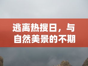 逃離熱搜日，偶遇自然美景的驚喜之旅