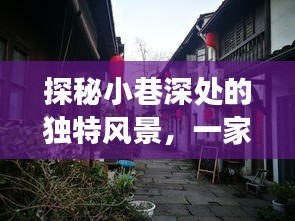 探秘小巷深處的獨特風(fēng)景，隱藏式特色小店與A7R3實時取景直方圖背后的故事