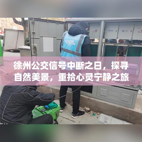 徐州公交信號中斷之際，探尋自然美景，心靈寧靜之旅