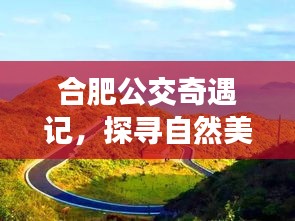 合肥公交奇遇記，探尋自然美景，尋找內(nèi)心寧靜之旅