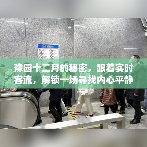 豫園十二月秘境，追尋內(nèi)心平靜的冬日探險之旅