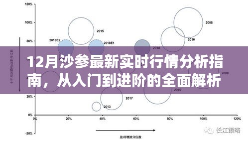 12月沙參行情深度解析，從入門到進階的全面指南