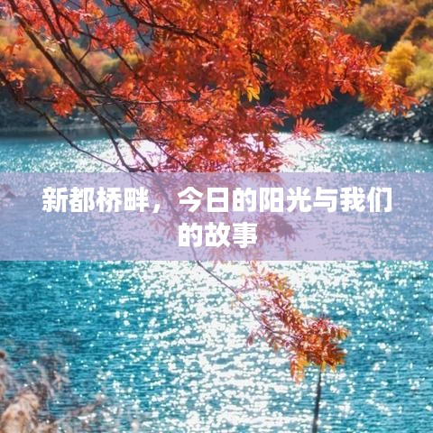 新都橋畔陽光下的故事