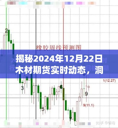 揭秘，木材期貨市場(chǎng)趨勢(shì)與應(yīng)對(duì)策略——聚焦2024年12月22日實(shí)時(shí)動(dòng)態(tài)分析