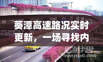 葵潭高速路況實(shí)時更新，綠色之旅的心靈安寧之旅