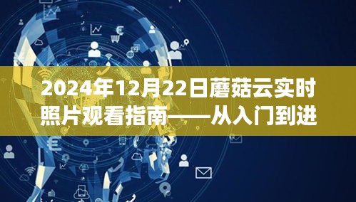 2024年蘑菇云實(shí)時照片觀看指南，從新手入門到進(jìn)階實(shí)操