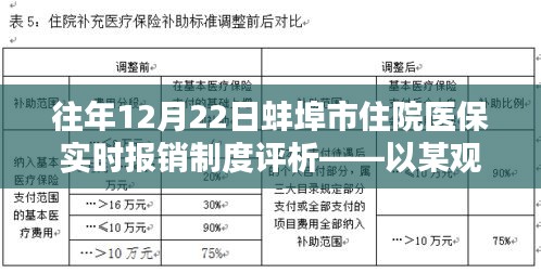 往年12月22日蚌埠市住院醫(yī)保實時報銷制度深度評析，某觀點視角