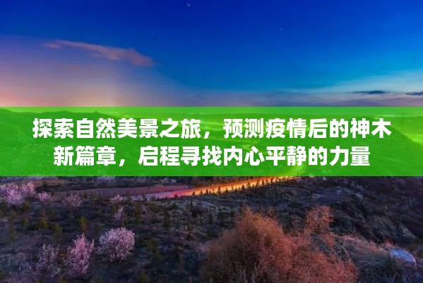 疫情后的神木新篇章，自然探索之旅與內(nèi)心平靜的啟程